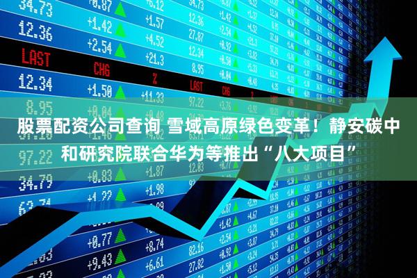 股票配资公司查询 雪域高原绿色变革！静安碳中和研究院联合华为等推出“八大项目”