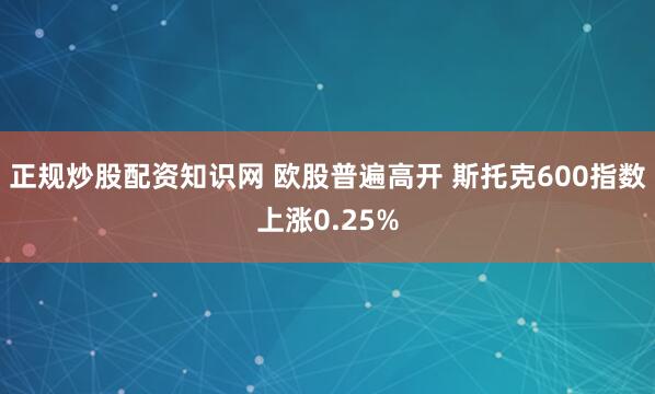 正规炒股配资知识网 欧股普遍高开 斯托克600指数上涨0.25%