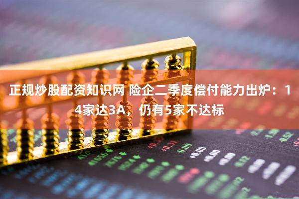 正规炒股配资知识网 险企二季度偿付能力出炉：14家达3A，仍有5家不达标