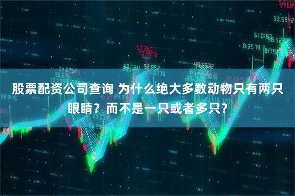 股票配资公司查询 为什么绝大多数动物只有两只眼睛?而不是一只或者多只?
